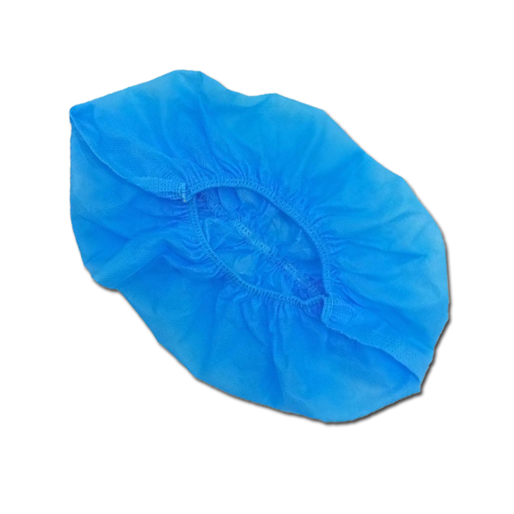 Kmart Shoe Cases: Unique Design, Quality Materials, and Extensive Features