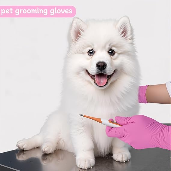 IT Use of Nitrile Gloves: With Q&A on X-Related Applications